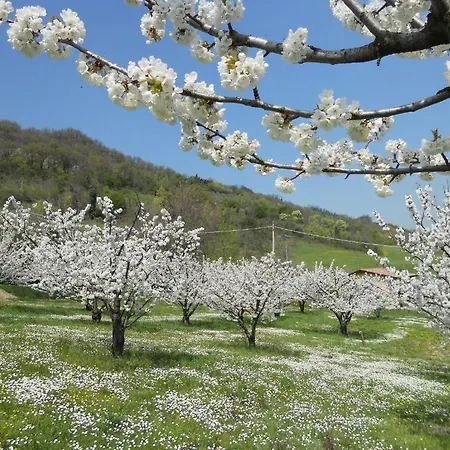 Agriturismo La Tintoria Castello di Serravalle