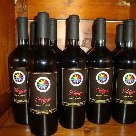 Κατάλυμα σε φάρμα Agriturismo La Tintoria