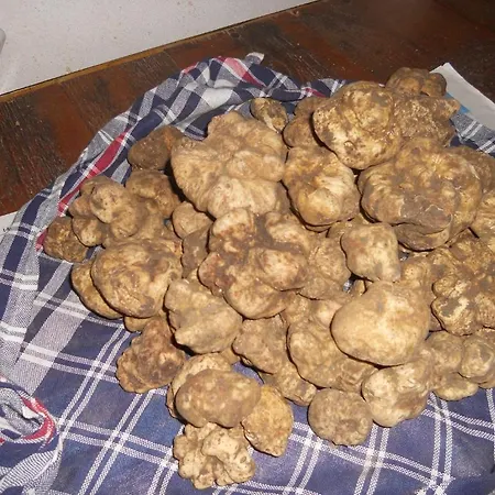 Agriturismo La Tintoria Castello di Serravalle