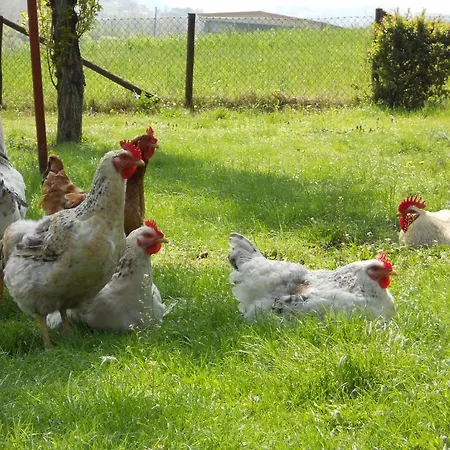 Agriturismo La Tintoria Farm stay