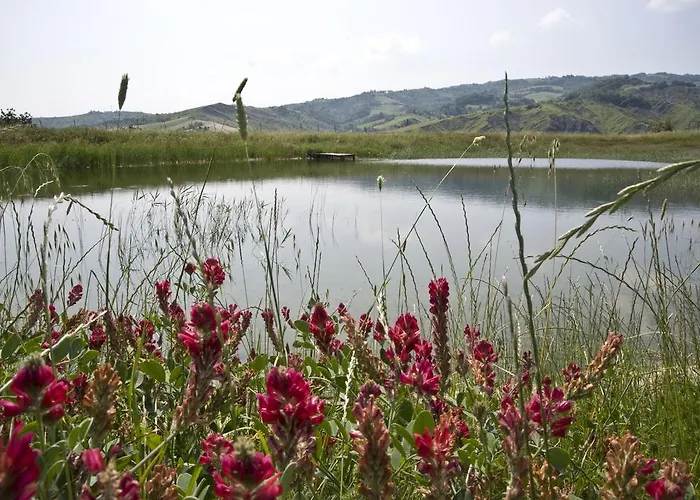 Agriturismo La Tintoria Gospodarstwo agroturystyczne *