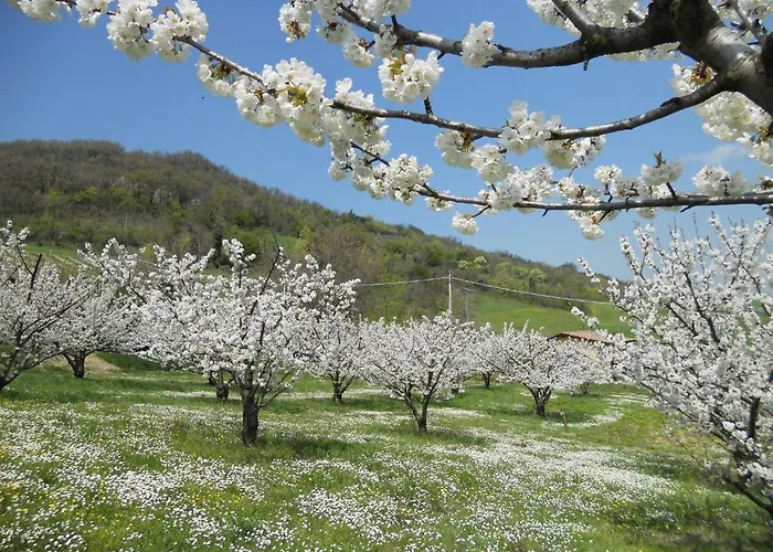 Agriturismo La Tintoria Castello di Serravalle