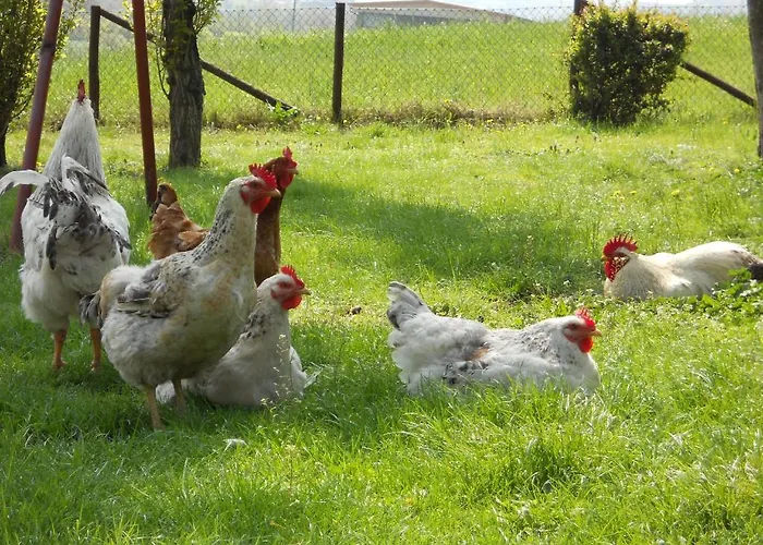 Agriturismo La Tintoria Gospodarstwo agroturystyczne