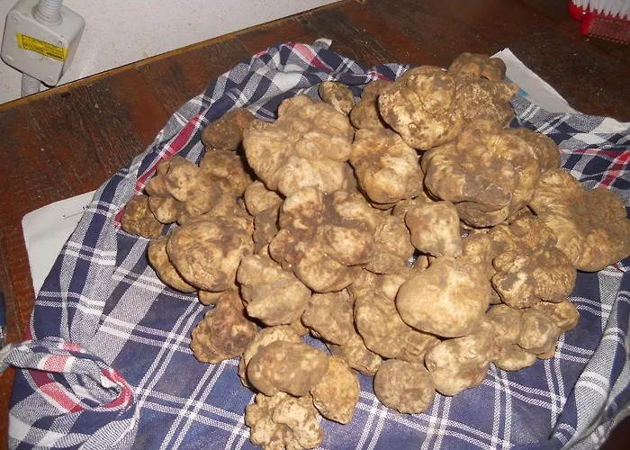 Agriturismo La Tintoria Castello di Serravalle